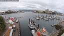 ./images/victoria/wharf/20250626/wharf20250626_103011M.jpg