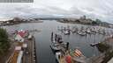 ./images/victoria/wharf/20250626/wharf20250626_104511M.jpg