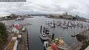 ./images/victoria/wharf/20250626/wharf20250626_105010M.jpg