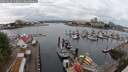 ./images/victoria/wharf/20250626/wharf20250626_110010M.jpg