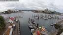./images/victoria/wharf/20250626/wharf20250626_110507M.jpg