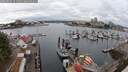./images/victoria/wharf/20250626/wharf20250626_111511M.jpg