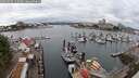 ./images/victoria/wharf/20250626/wharf20250626_112008M.jpg