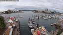 ./images/victoria/wharf/20250626/wharf20250626_113511M.jpg
