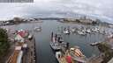 ./images/victoria/wharf/20250626/wharf20250626_115011M.jpg