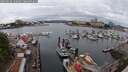 ./images/victoria/wharf/20250626/wharf20250626_120009M.jpg