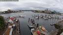 ./images/victoria/wharf/20250626/wharf20250626_121011M.jpg