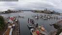 ./images/victoria/wharf/20250626/wharf20250626_121511M.jpg