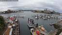 ./images/victoria/wharf/20250626/wharf20250626_122008M.jpg
