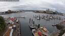 ./images/victoria/wharf/20250626/wharf20250626_122510M.jpg