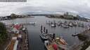 ./images/victoria/wharf/20250626/wharf20250626_123009M.jpg