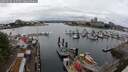 ./images/victoria/wharf/20250626/wharf20250626_125510M.jpg