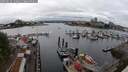 ./images/victoria/wharf/20250626/wharf20250626_130011M.jpg