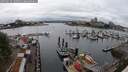 ./images/victoria/wharf/20250626/wharf20250626_130510M.jpg