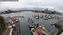 ./images/victoria/wharf/20250626/wharf20250626_131010M.jpg