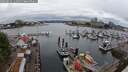 ./images/victoria/wharf/20250626/wharf20250626_132011M.jpg