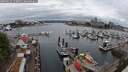 ./images/victoria/wharf/20250626/wharf20250626_133011M.jpg