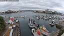 ./images/victoria/wharf/20250626/wharf20250626_135510M.jpg