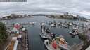 ./images/victoria/wharf/20250626/wharf20250626_140011M.jpg