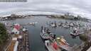 ./images/victoria/wharf/20250626/wharf20250626_140509M.jpg