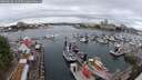 ./images/victoria/wharf/20250626/wharf20250626_141509M.jpg