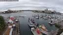 ./images/victoria/wharf/20250626/wharf20250626_142008M.jpg