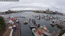 ./images/victoria/wharf/20250626/wharf20250626_142510M.jpg