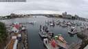 ./images/victoria/wharf/20250626/wharf20250626_143510M.jpg