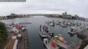 ./images/victoria/wharf/20250626/wharf20250626_144010M.jpg