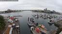 ./images/victoria/wharf/20250626/wharf20250626_144511M.jpg