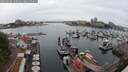 ./images/victoria/wharf/20250626/wharf20250626_145011M.jpg