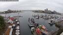 ./images/victoria/wharf/20250626/wharf20250626_145509M.jpg
