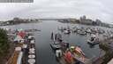 ./images/victoria/wharf/20250626/wharf20250626_150011M.jpg