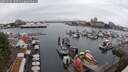 ./images/victoria/wharf/20250626/wharf20250626_150510M.jpg