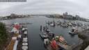 ./images/victoria/wharf/20250626/wharf20250626_151010M.jpg