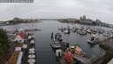 ./images/victoria/wharf/20250626/wharf20250626_152510M.jpg