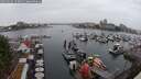 ./images/victoria/wharf/20250626/wharf20250626_153010M.jpg