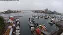 ./images/victoria/wharf/20250626/wharf20250626_154010M.jpg