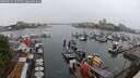 ./images/victoria/wharf/20250626/wharf20250626_155510M.jpg
