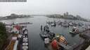 ./images/victoria/wharf/20250626/wharf20250626_160510M.jpg