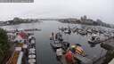 ./images/victoria/wharf/20250626/wharf20250626_161011M.jpg
