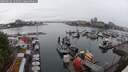 ./images/victoria/wharf/20250626/wharf20250626_162011M.jpg