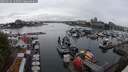 ./images/victoria/wharf/20250626/wharf20250626_165008M.jpg