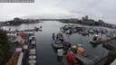 ./images/victoria/wharf/20250626/wharf20250626_170011M.jpg
