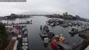 ./images/victoria/wharf/20250626/wharf20250626_170511M.jpg