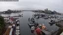 ./images/victoria/wharf/20250626/wharf20250626_171010M.jpg