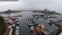 ./images/victoria/wharf/20250626/wharf20250626_171510M.jpg