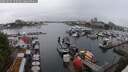 ./images/victoria/wharf/20250626/wharf20250626_172009M.jpg