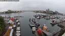 ./images/victoria/wharf/20250626/wharf20250626_180509M.jpg