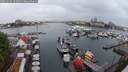 ./images/victoria/wharf/20250626/wharf20250626_184011M.jpg